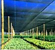 ALNET AGRICULTURAL NETTING
